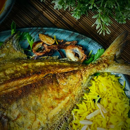سمك زبيدي